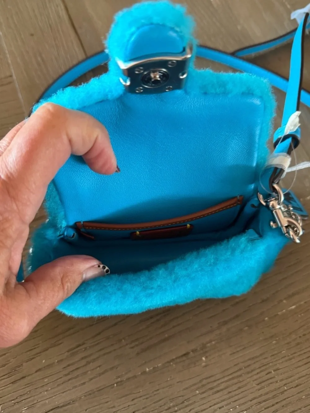N/A coach mini